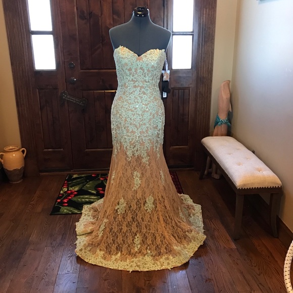 Terani Couture Dresses & Skirts - TERANI Lace Illusion Dress NWT